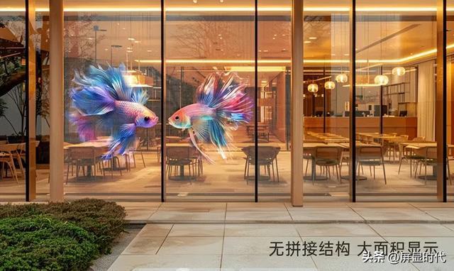 法师洲明全息显示开辟崭新沉浸式视觉时代九游会真人游戏第一品牌定义空间的光显魔(图8) 法师洲明全息显示开辟崭新沉浸式视觉时代九游会真人游戏第一品牌定义空间的光显魔(图8)